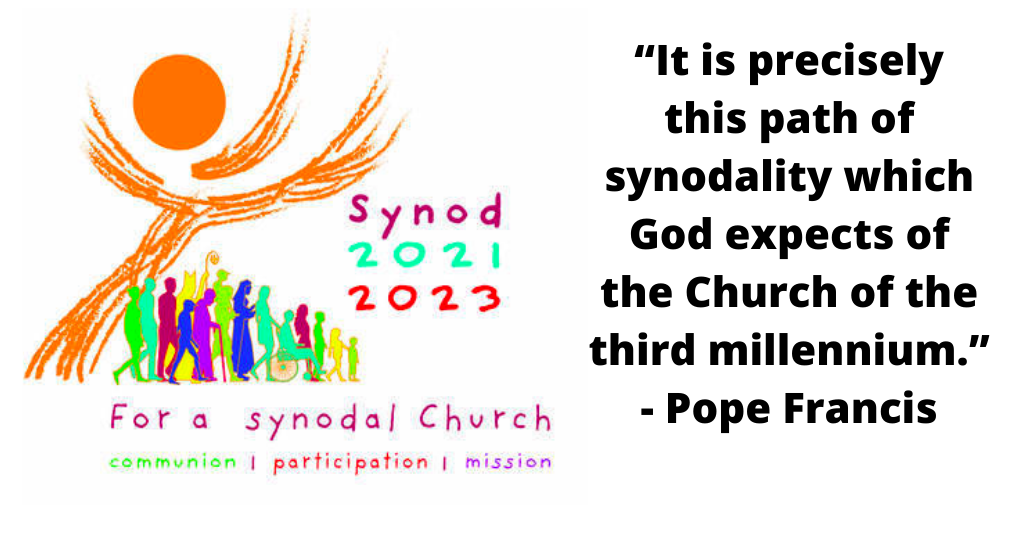 synod logo and link to diocesan website info 